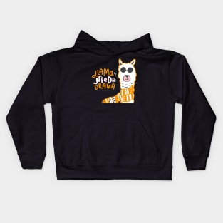 Llama need no drama Kids Hoodie